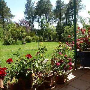  Hébergement de vacances Domaine Du Planas - Patio